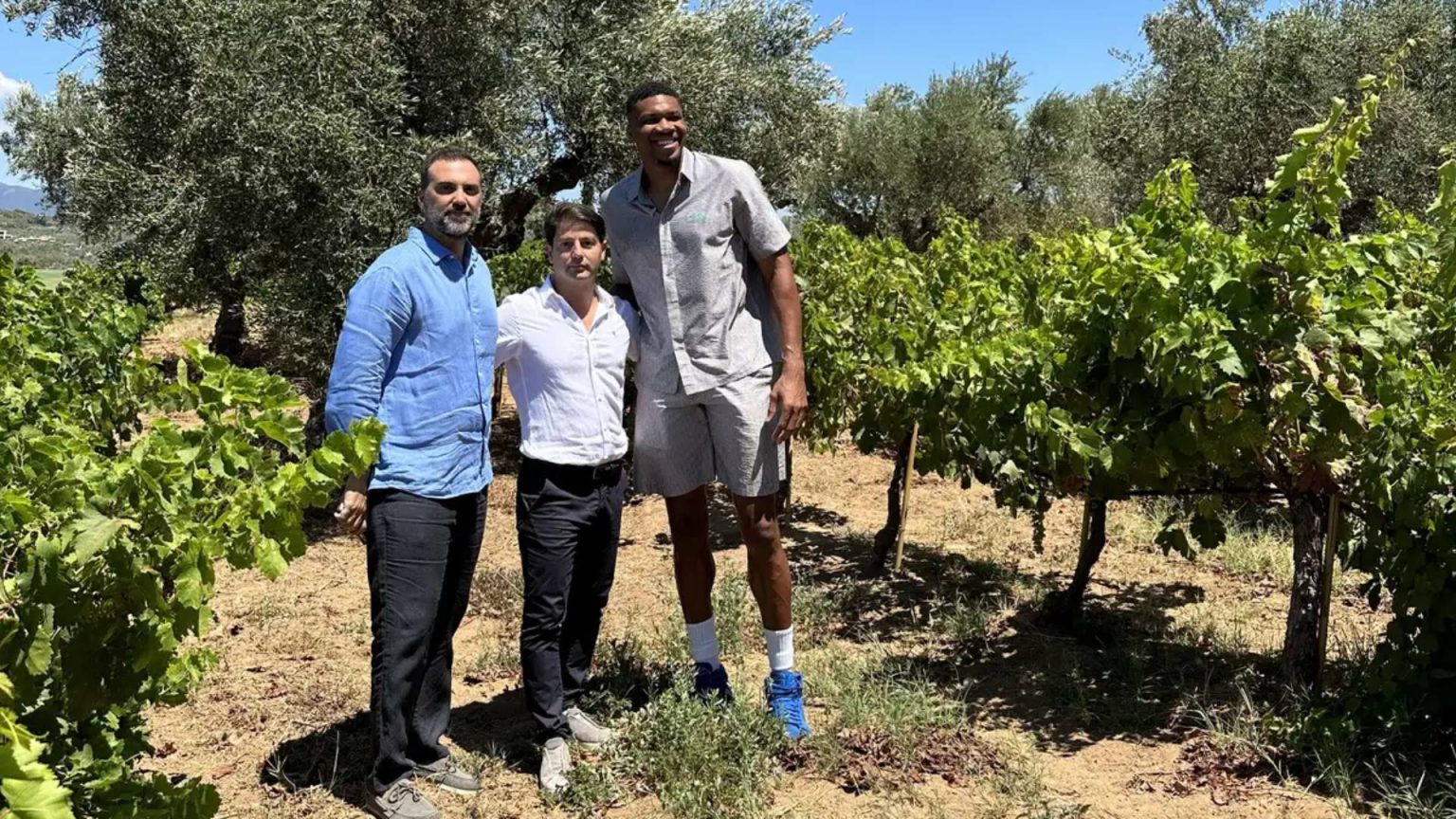 Εξαγορά του Village Cinema Ρέντη από την PREMIA Properties και την οικογένεια Αντετοκούνμπο