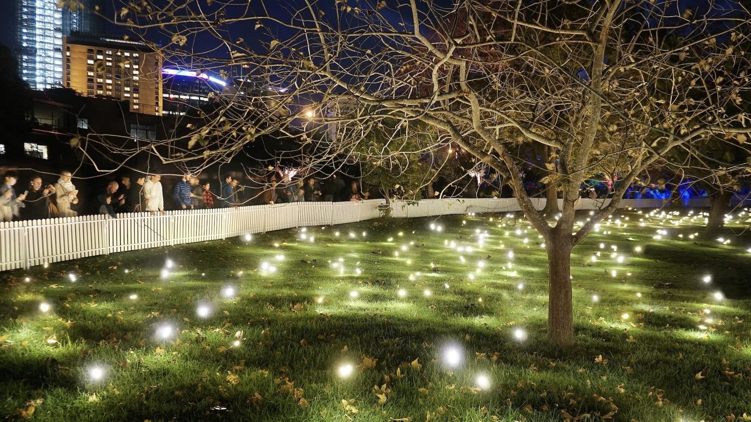 Athens Digital Arts Festival 2025: Η παγκόσμια ψηφιακή τέχνη μεταμορφώνει την πόλη