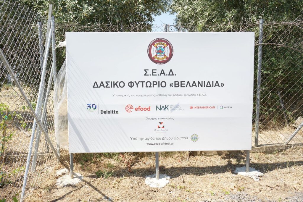 efood, Interamerican, Anytime, Deloitte, NAK συμβάλλουν στη διάσωση των δασών της Αττικής
