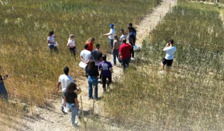 VALERECO: Ένας χρόνος εφαρμογής στο πεδίο για την προώθηση της καλλιέργειας των ψυχανθών