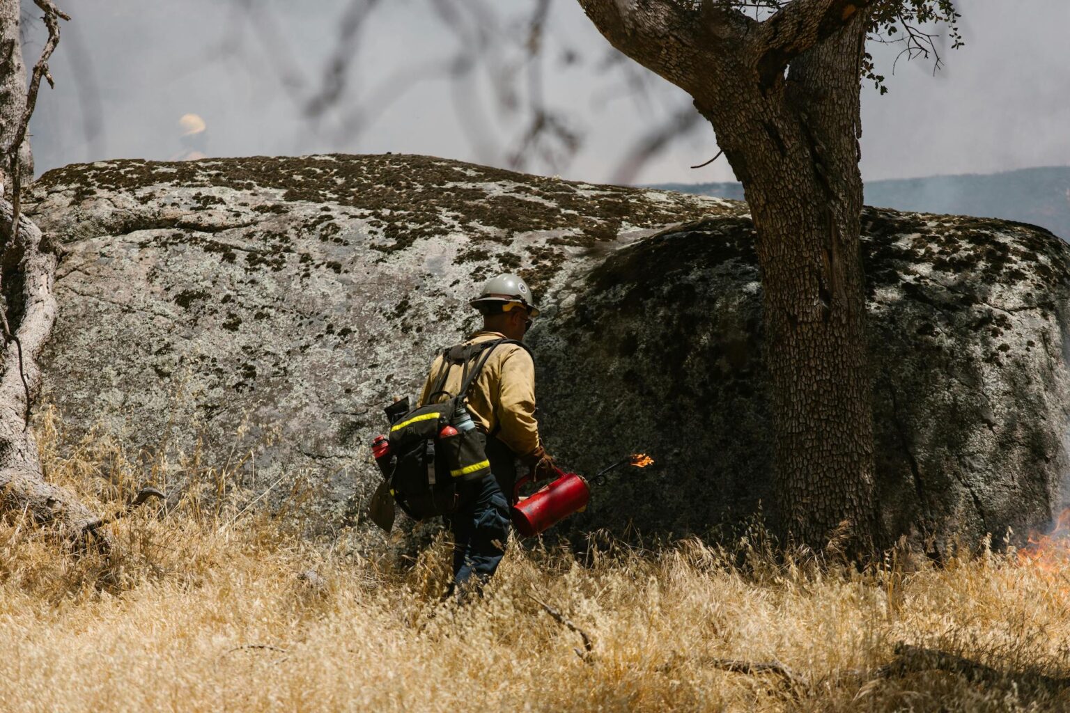 Υπεγράφη η έγκριση του Εθνικού Χάρτη Εκτίμησης Κινδύνου Δασικών Πυρκαγιών