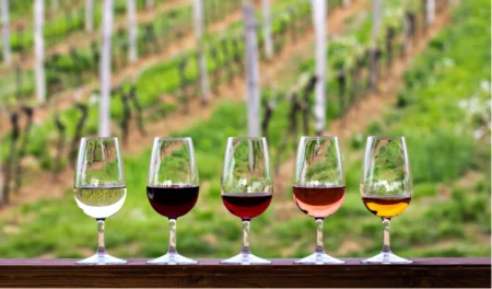 LIGAWINE: Ανοιχτή πρόσκληση ύψους €1,8 εκατ. για την ενίσχυση του ευρωπαϊκού αμπελοοινικού τομέα